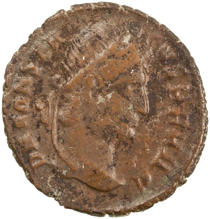 RIC VIII Nicomedia 12, аверс, American Numismatic Society (ans)