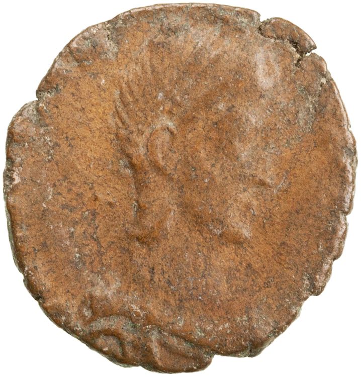 RIC VIII Nicomedia 107, аверс, American Numismatic Society (ans)