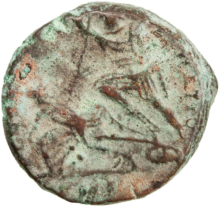 RIC VIII Cyzicus 101, реверс, American Numismatic Society (ans)