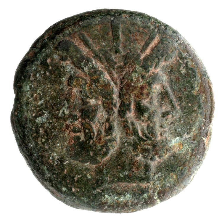 RRC 117B/1, аверс, American Numismatic Society (ans)