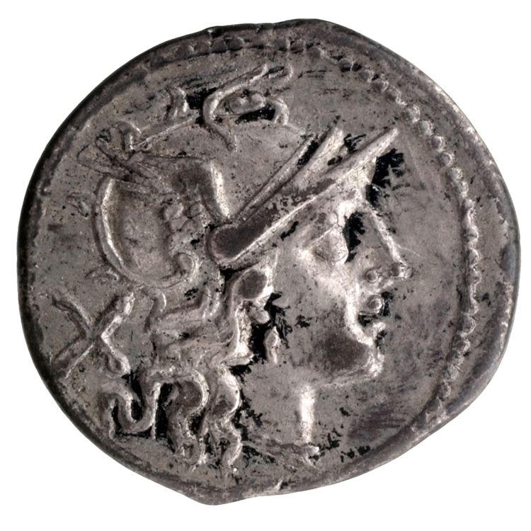 RRC 119/2, аверс, American Numismatic Society (ans)