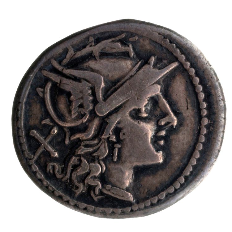 RRC 132/2, аверс, American Numismatic Society (ans)
