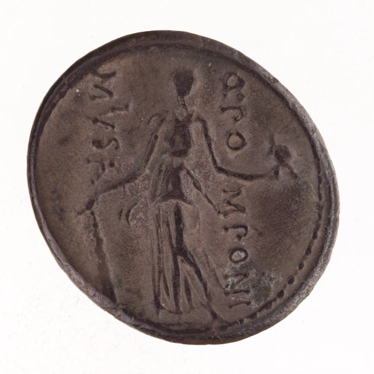 RRC 410/4, reverse, American Numismatic Society (ans)