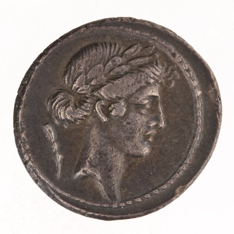 RRC 410/7d, obverse, American Numismatic Society (ans)