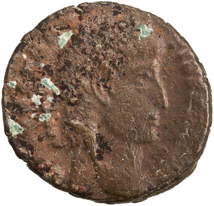 RIC VIII Constantinople 53, аверс, American Numismatic Society (ans)