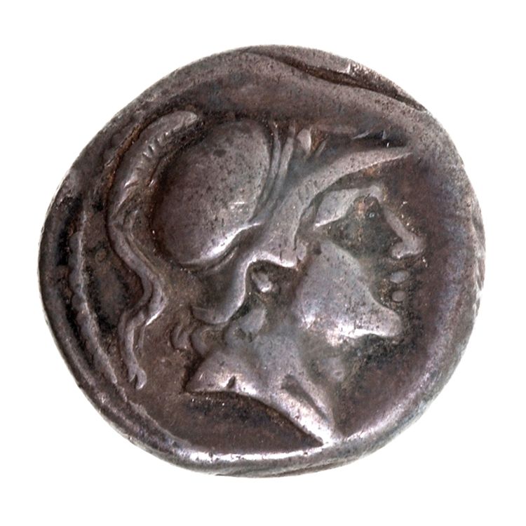 RRC 25/2, аверс, American Numismatic Society (ans)
