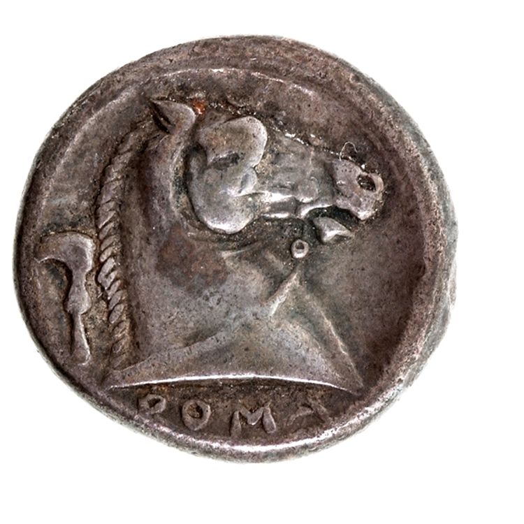 RRC 25/2, реверс, American Numismatic Society (ans)