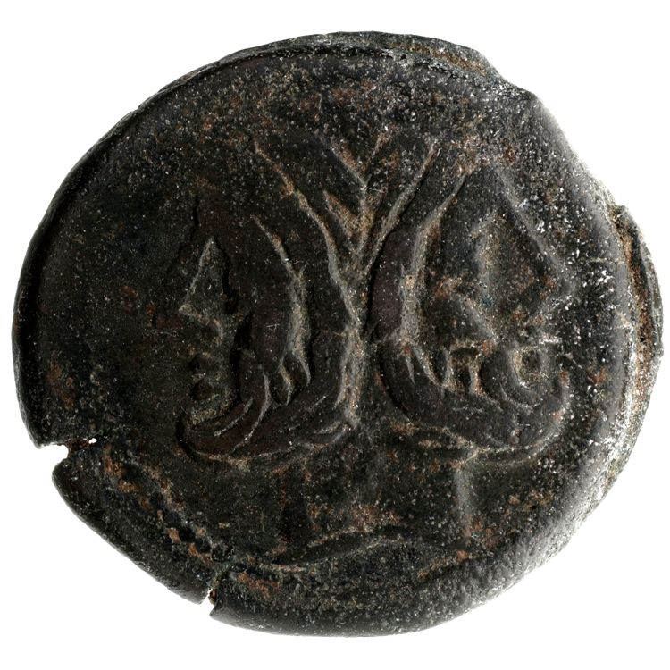 RRC 162/3, аверс, American Numismatic Society (ans)