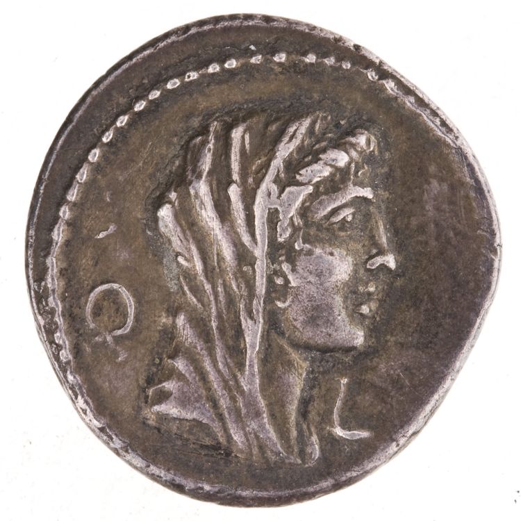RRC 419/3b, obverse, American Numismatic Society (ans)