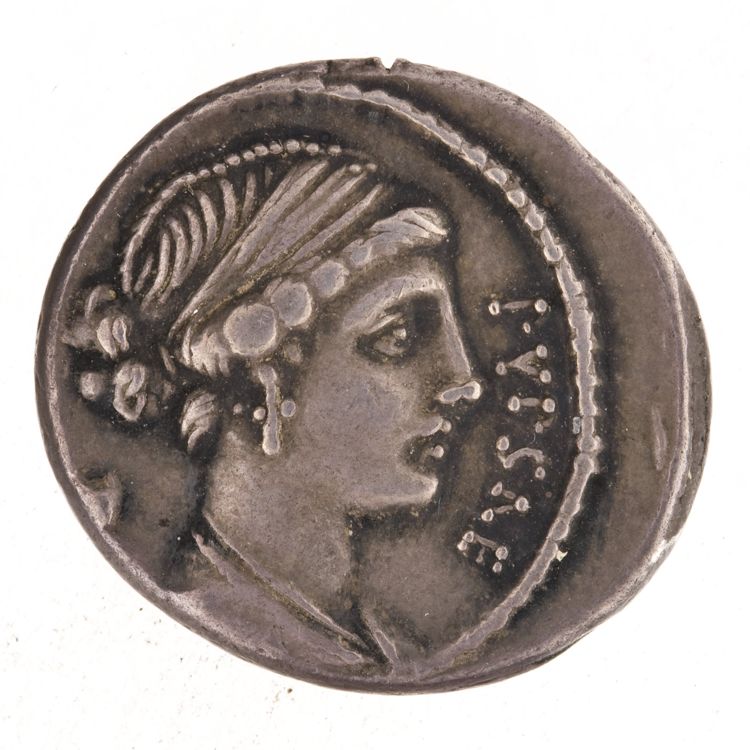 RRC 420/2c, аверс, American Numismatic Society (ans)