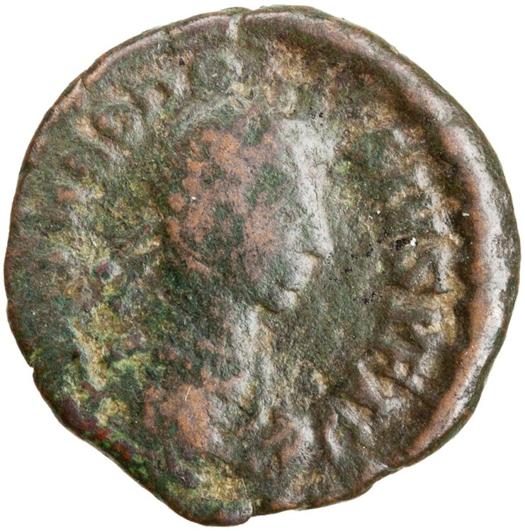 RIC IX Siscia 39B, аверс, American Numismatic Society (ans)