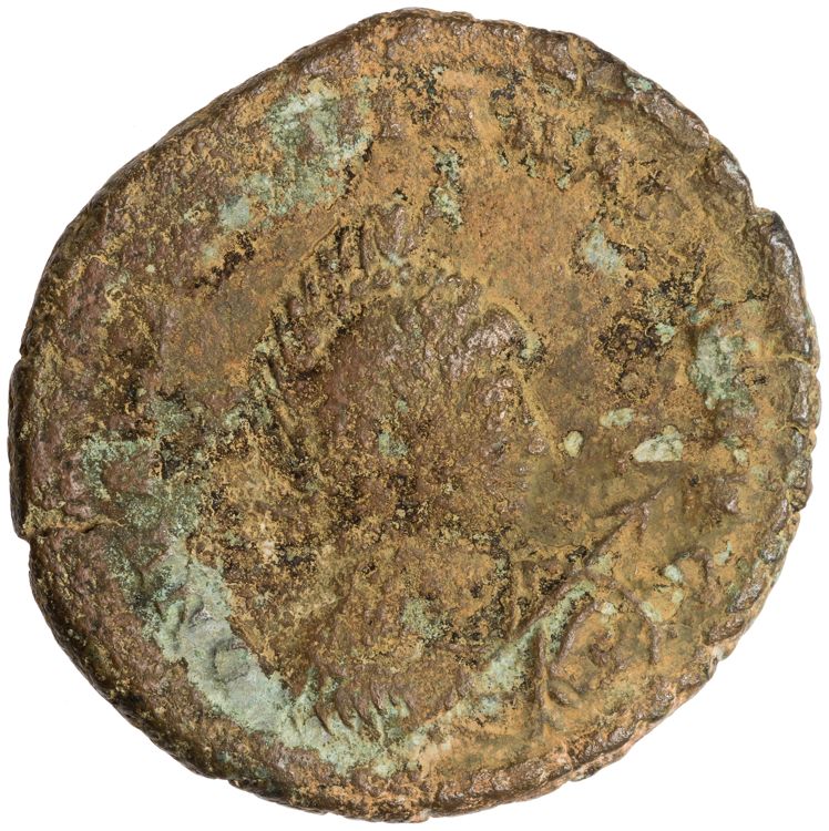 RIC IX Nicomedia 25B, аверс, American Numismatic Society (ans)