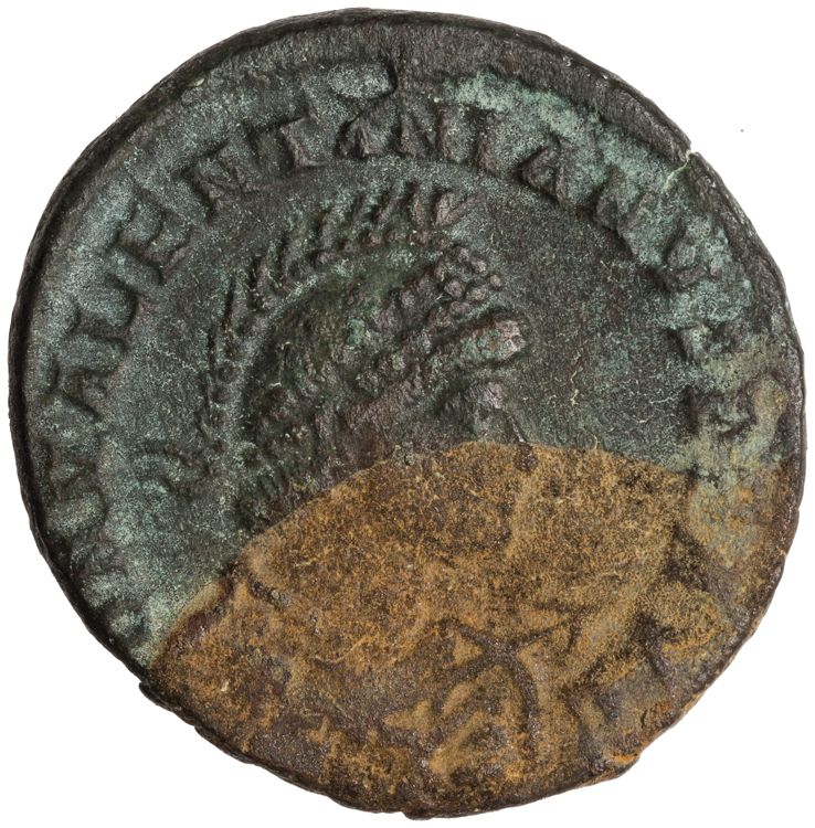 RIC IX Nicomedia 25B, аверс, American Numismatic Society (ans)