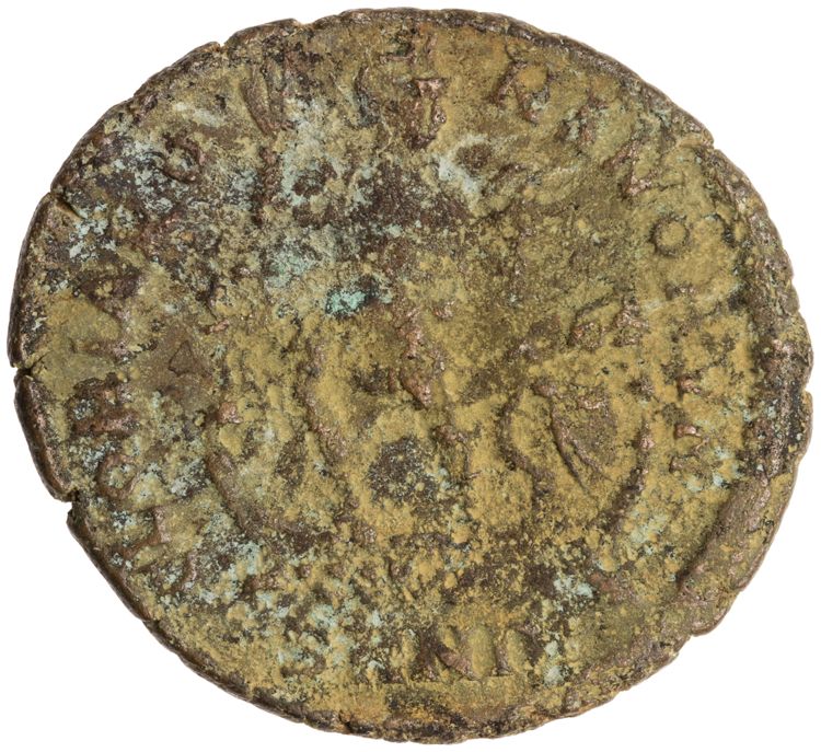 RIC IX Nicomedia 25C, реверс, American Numismatic Society (ans)