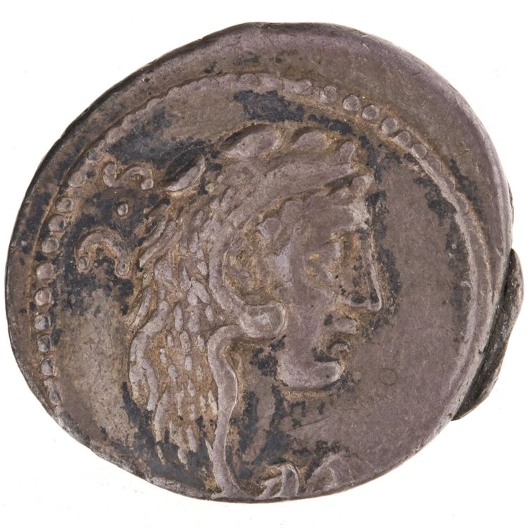RRC 426/4b, obverse, American Numismatic Society (ans)