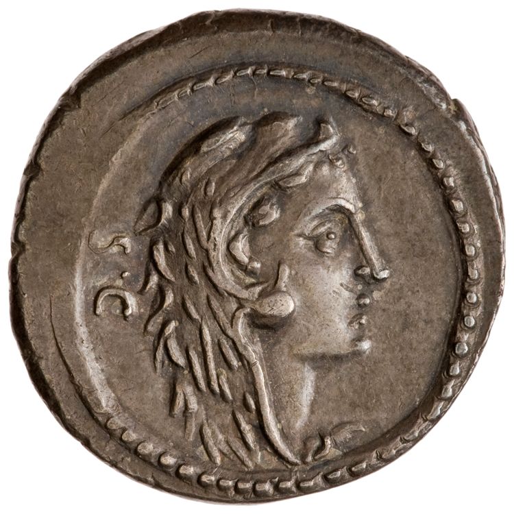 RRC 426/4b, obverse, American Numismatic Society (ans)