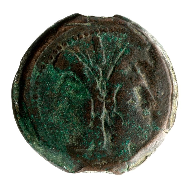 RRC 180/1, аверс, American Numismatic Society (ans)