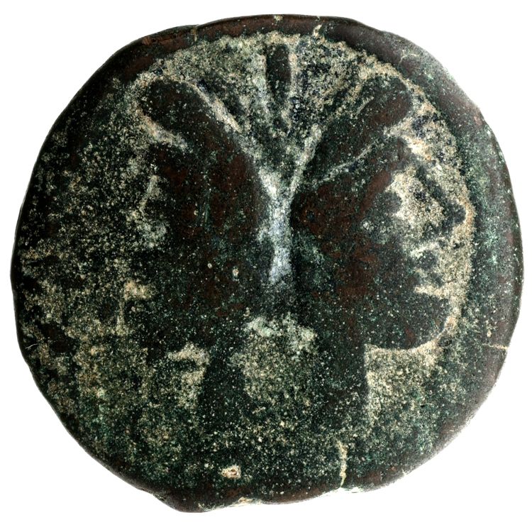 RRC 189/1, аверс, American Numismatic Society (ans)
