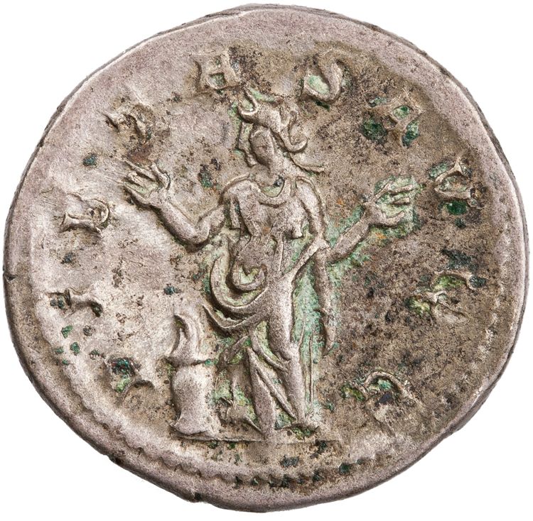 RIC IV Trebonianus Gallus 72, реверс, American Numismatic Society (ans)