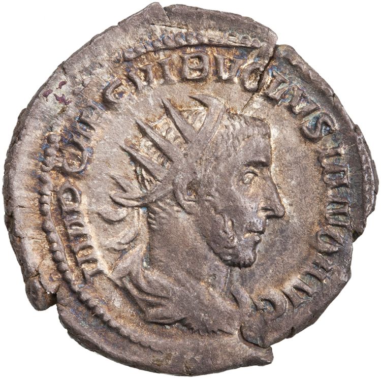 RIC IV Volusian 141, obverse, American Numismatic Society (ans)