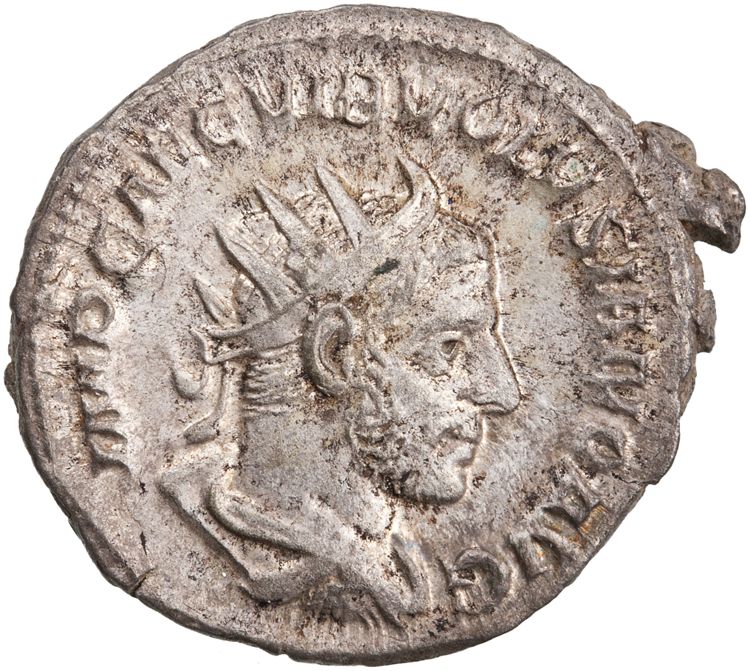 RIC IV Volusian 167, obverse, American Numismatic Society (ans)