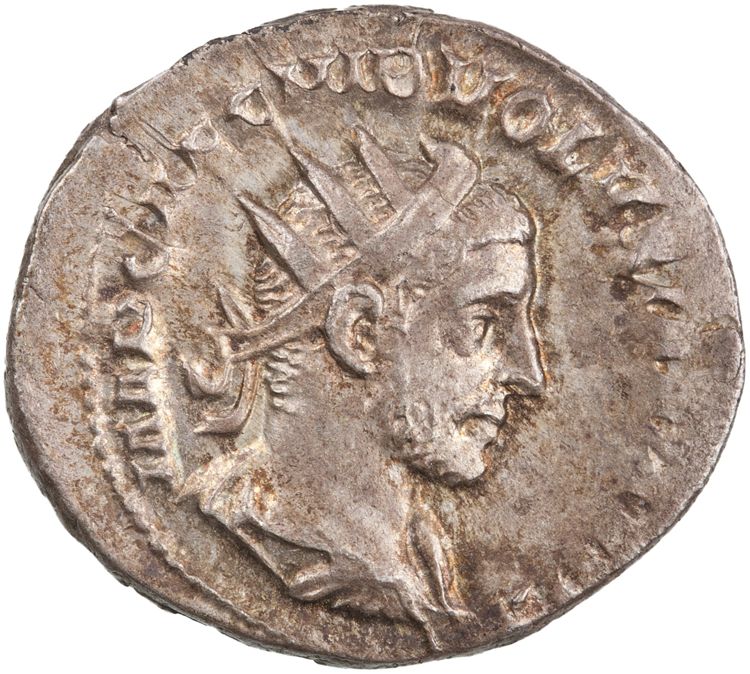 RIC IV Volusian 167, obverse, American Numismatic Society (ans)