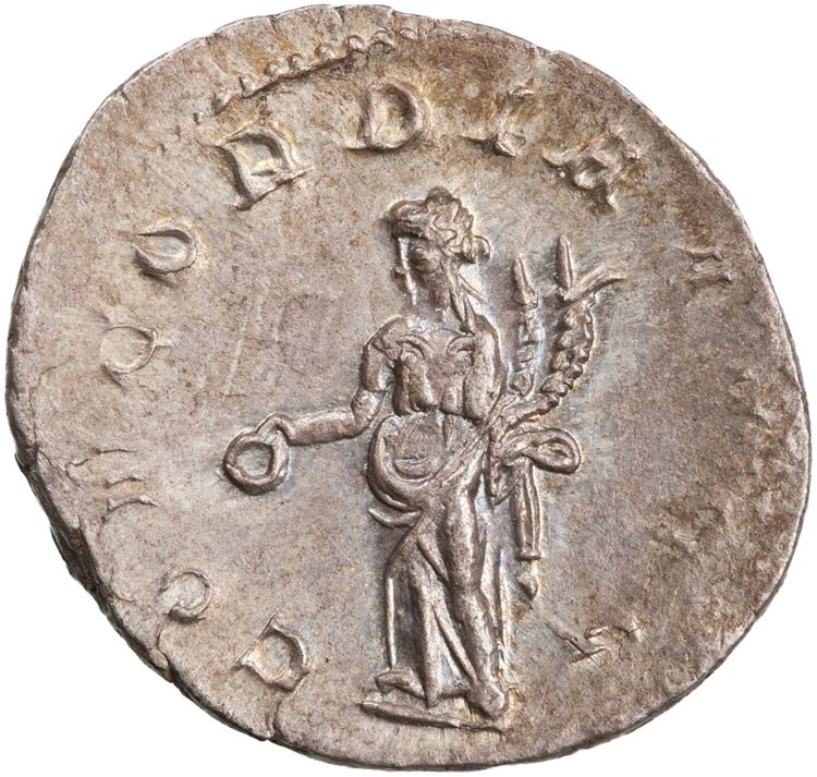RIC IV Volusian 167, reverse, American Numismatic Society (ans)
