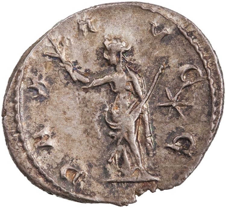 RIC IV Volusian 180, reverse, American Numismatic Society (ans)