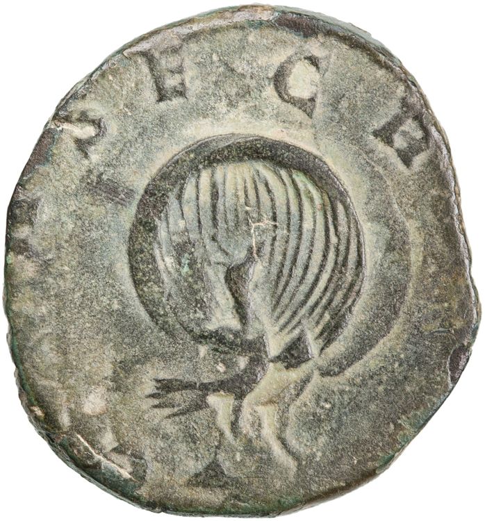 RIC V Mariniana 10, reverse, American Numismatic Society (ans)