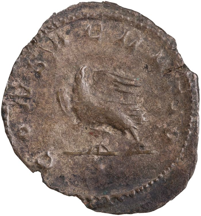 реверс RIC V Valerian II 8