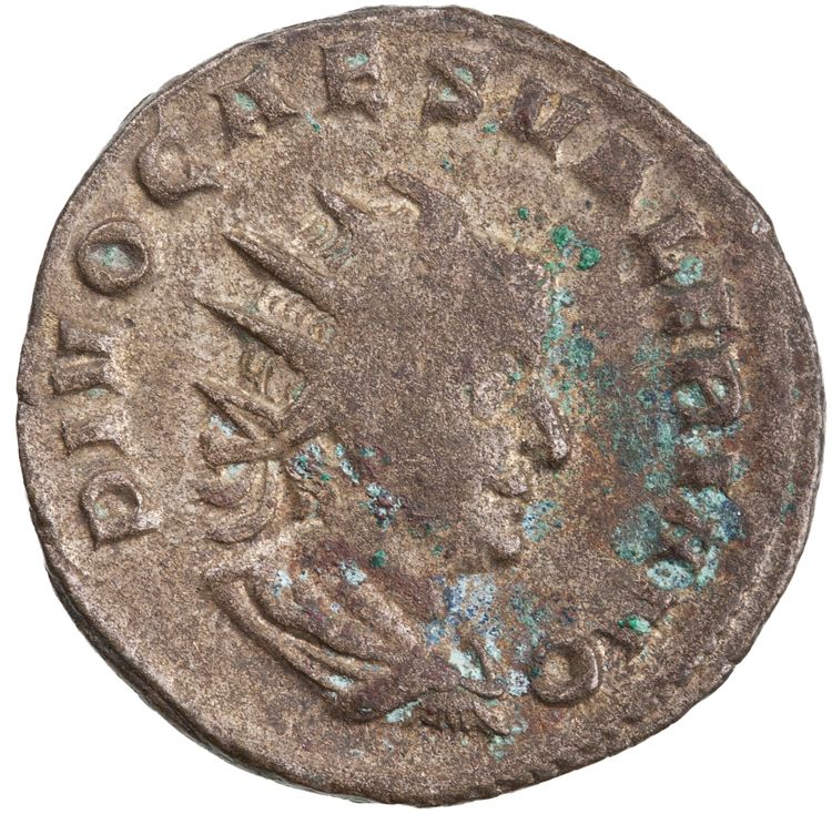 RIC V Valerian II 24c, аверс, American Numismatic Society (ans)