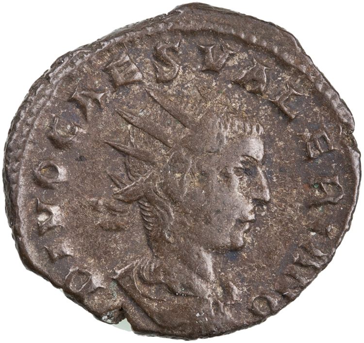RIC V Valerian II 24c, аверс, American Numismatic Society (ans)