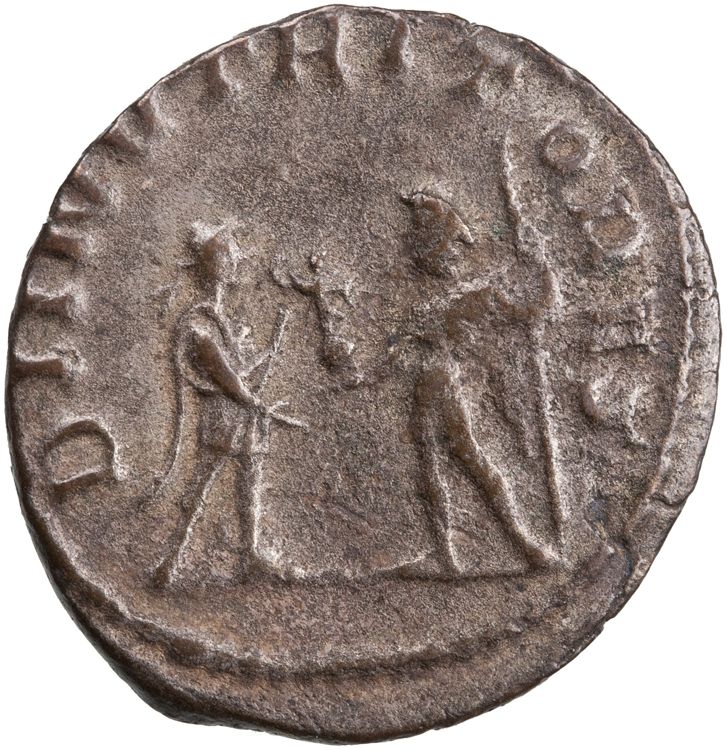 реверс RIC V Saloninus 35