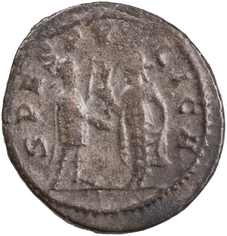реверс RIC V Saloninus 36