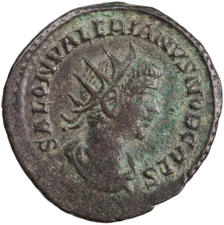 RIC V Saloninus 36, аверс, American Numismatic Society (ans)