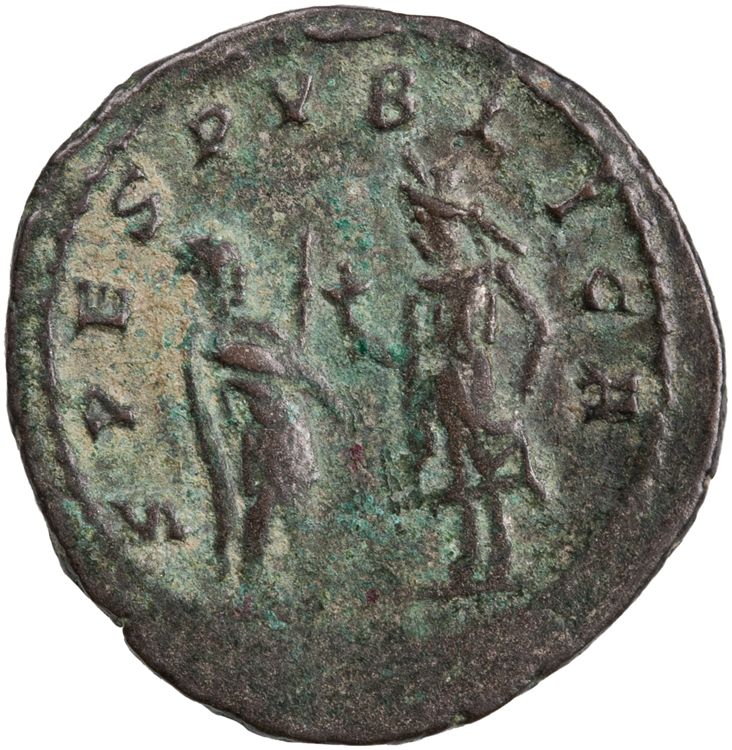 RIC V Saloninus 36, реверс, American Numismatic Society (ans)