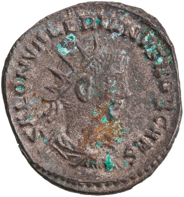 RIC V Saloninus 36, аверс, American Numismatic Society (ans)