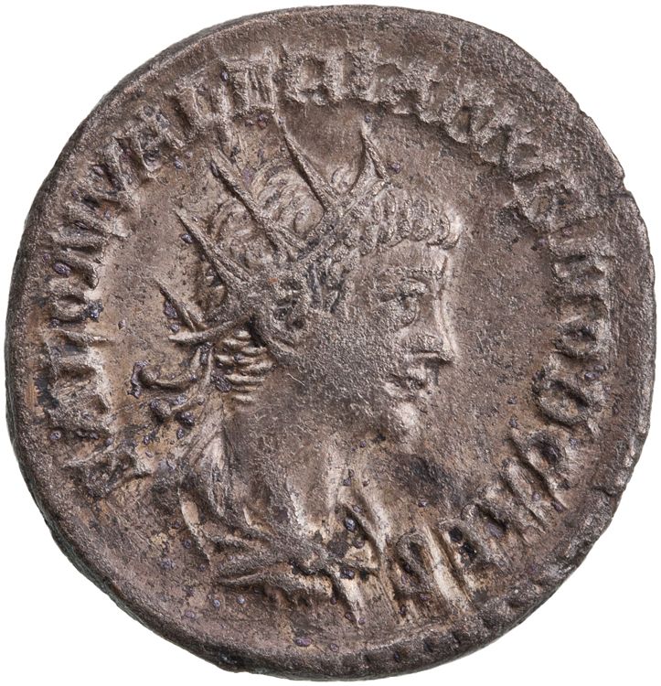 RIC V Saloninus 36, аверс, American Numismatic Society (ans)