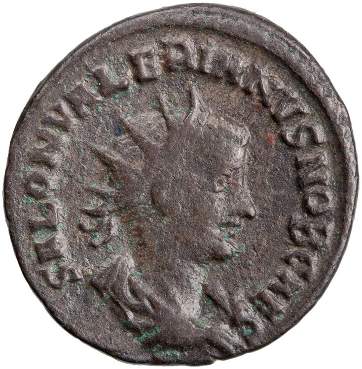 RIC V Saloninus 36, аверс, American Numismatic Society (ans)