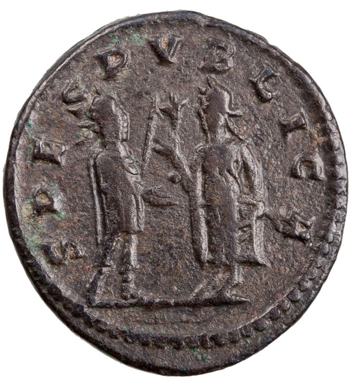 RIC V Saloninus 36, реверс, American Numismatic Society (ans)