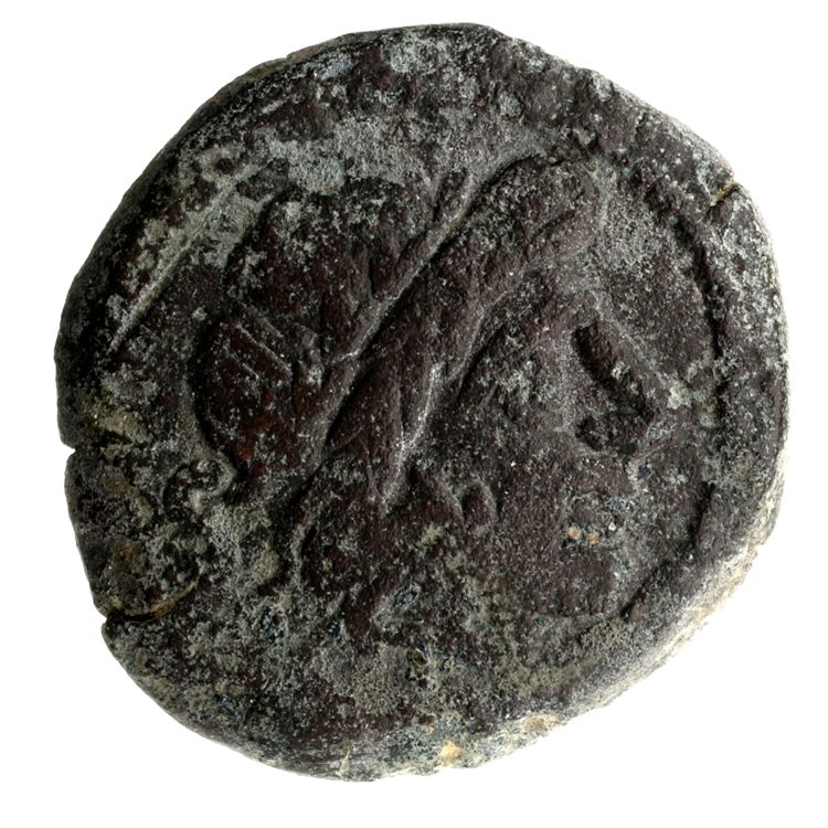 RRC 194/2, аверс, American Numismatic Society (ans)