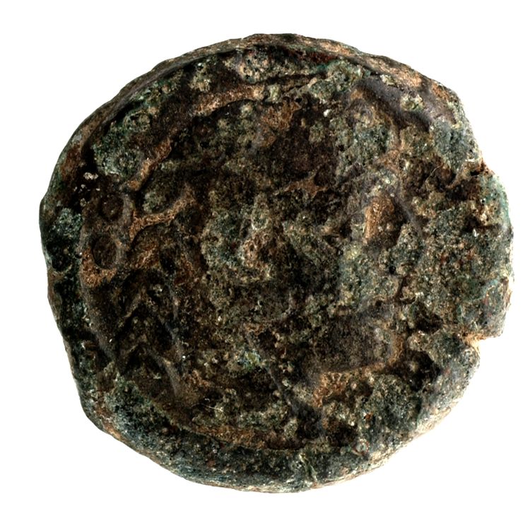 RRC 200/5, аверс, American Numismatic Society (ans)