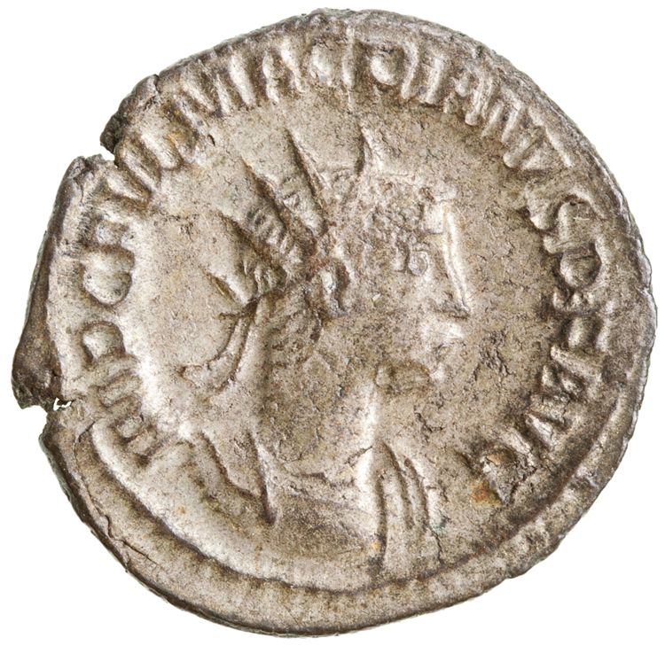 аверс RIC V Macrianus Minor 11