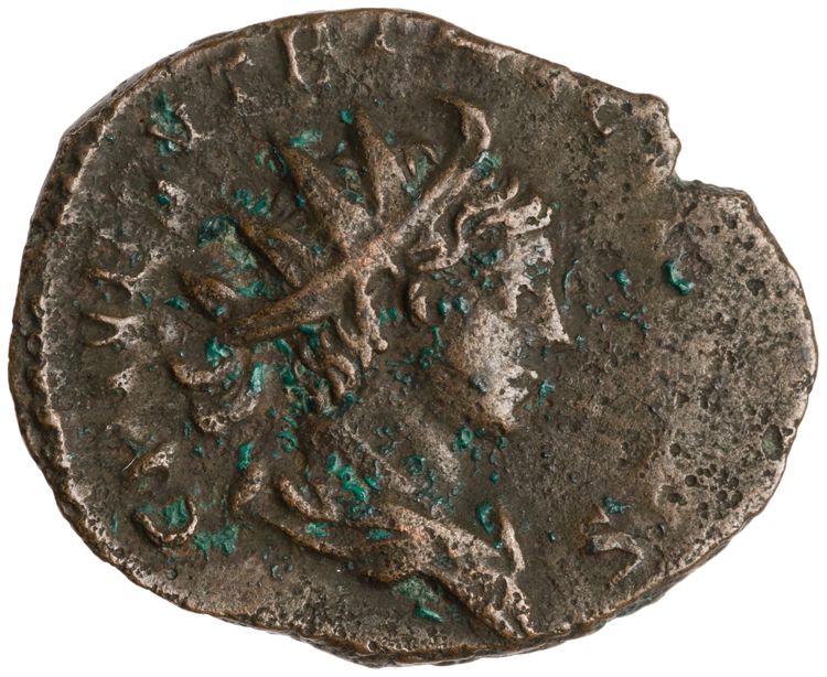 RIC V Tetricus I 224, аверс, American Numismatic Society (ans)