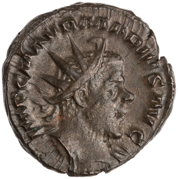 RIC V Marius 17, аверс, American Numismatic Society (ans)