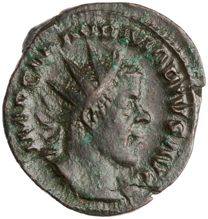 RIC V Marius 17, аверс, American Numismatic Society (ans)