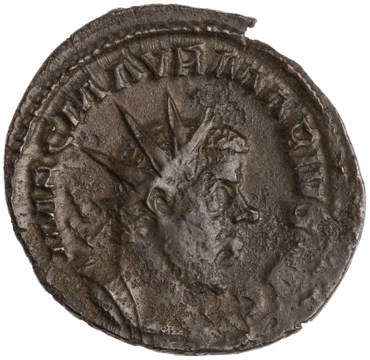 RIC V Marius 19, аверс, American Numismatic Society (ans)