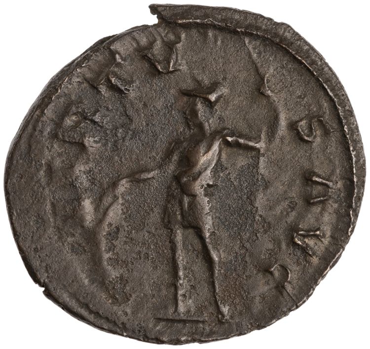 RIC V Marius 19, реверс, American Numismatic Society (ans)