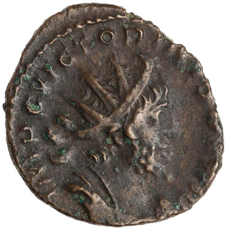 RIC V Victorinus 71, obverse, American Numismatic Society (ans)