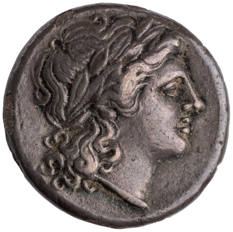 RRC 26/2, аверс, American Numismatic Society (ans)